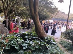 -普陀山慧济禅寺