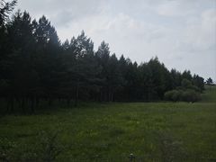 -御道口草原森林风景区