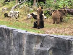 -武汉动物园