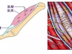 -OneFit健身(汇锦城店)