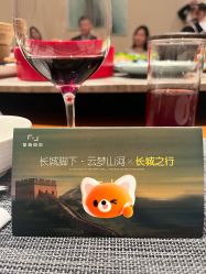 -鼎极摄影(蓝色港湾店)