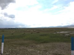 玉龙沙湖-玉龙沙湖景区