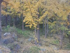 -阳台山自然风景区