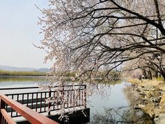 -颐和园