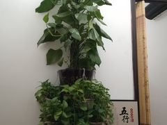 -老成都·古法采耳·禅洗头疗(四川总店)