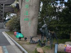 -溱湖国家湿地公园