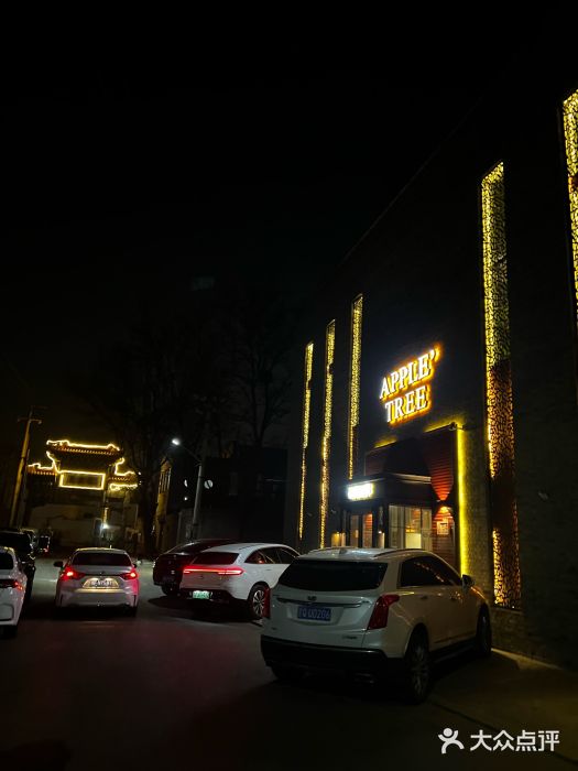 苹果树下艺术餐厅(宋庄店)图片