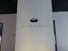 -BLACKSWAN黑天鹅(环球店)