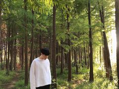 -艾溪湖湿地公园