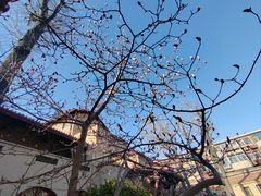 -天津五大道文化旅游区