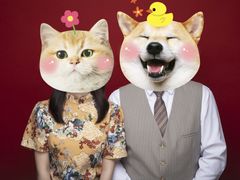 -bobo高端证件照工作室(三元桥店)