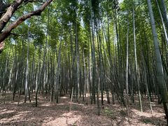 -同里国家湿地公园
