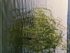 -济南国际园博园