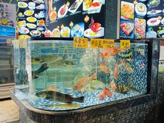 水产区-寻味顺德·珍之宝酒楼(银钻店)