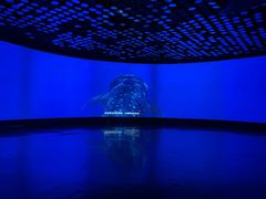 -同济大学四平路校区深海探索馆