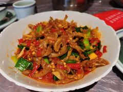 鸭掌筋-壹盏灯(惠农店)