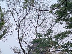 -济南大明湖景区
