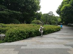 -玉山公园
