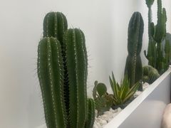 -老乔串店(青松路店)