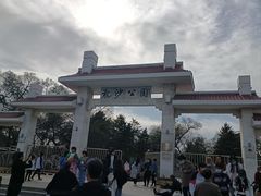 -龙沙公园