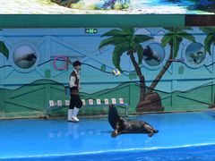-石家庄极地海洋世界