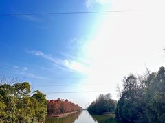 -上海海湾国家森林公园