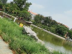 -绿岛公园(滨海新区)