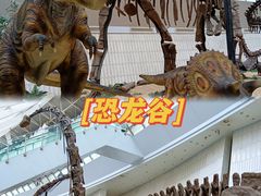 -天津自然博物馆