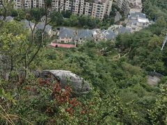 -黔灵山公园