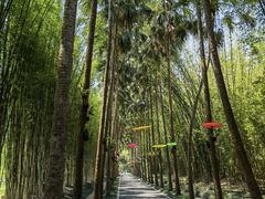 -中国科学院西双版纳热带植物园