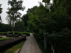 -龙头寺公园