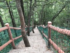 -洛阳白云山景区