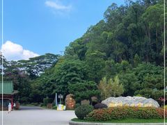 -顺峰山公园