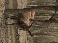 iphone_upload_pic-溱湖国家湿地公园