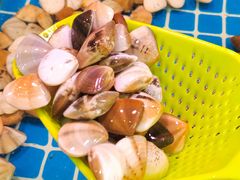 -巽寮印象美食部落餐厅·海鲜·地方特色菜(惠州体验店)