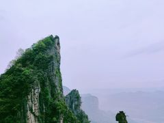 -蝶舞清江·恩施云顶景区(黄鹤峰林)