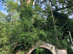 -广西壮族自治区药用植物园