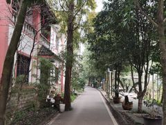 -缙云山景区