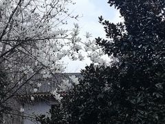 教学楼-四川大学(华西校区)