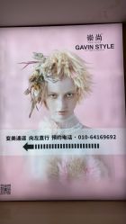 -崇尚GAVIN STYLE