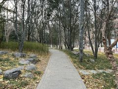 -宣武艺园