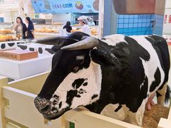 -红星前进面包牛奶公司(君太店)