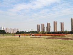 -映月湖中央公园