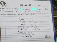 -Pets First伊珊娜洗护·精致美容·家庭式寄养(新会路店)