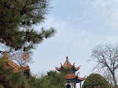 -戏马台景区