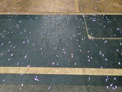 -蜜雪冰城(成华王府井Discovery店)