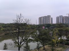 -王借岗森林公园