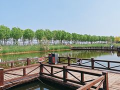 -南大港湿地风景区