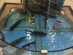 -屯靠屯地锅王(西南路店)