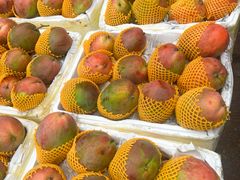 -新鸿港水果市场(三亚新鸿港国际商品交易中心店)